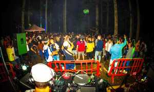 pineta vigezzo deep tree ok 17