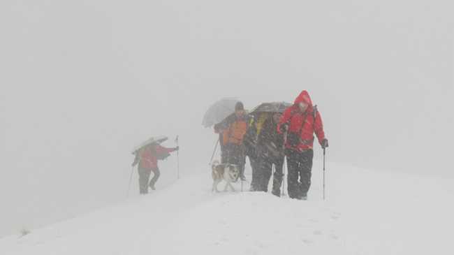 pizo pernice neve tempesta fabbri