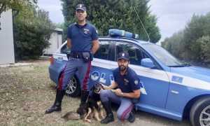 polizia contro abbandono animali