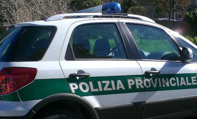 polizia provinciale1