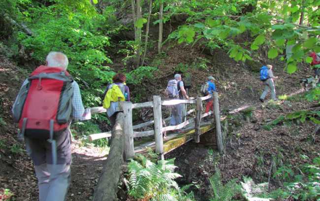 ponte legno sentiero escursione montagna fabbri val bognanco