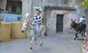 premosello palio asino