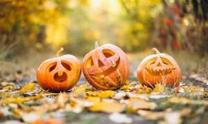 pumpkin 6720424 640