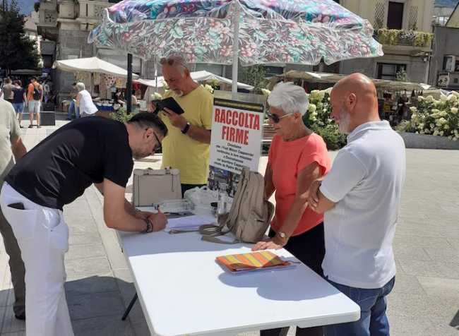 raccolta firme