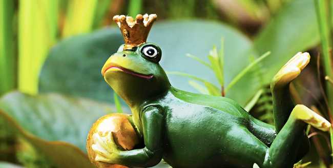 ranocchio corona principe