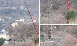 rimozione piante noga mix 19