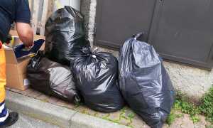 sacchetti immondizia domo