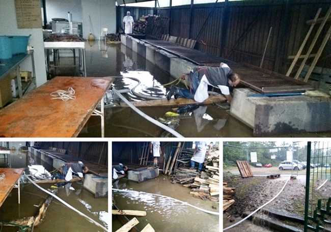 sagra patata allagata