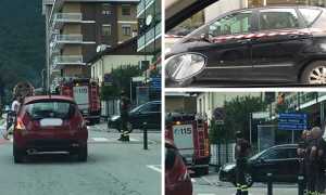 sciame api mix set 19