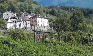 scorcio montecrestese