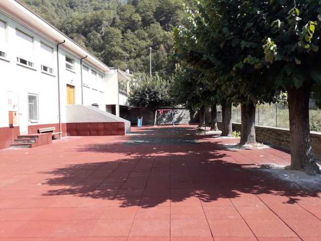 scuola cosasca trontano2