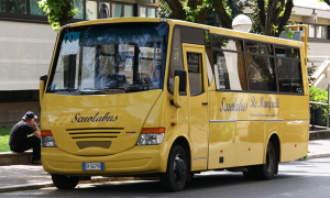 scuolabus albero seduto