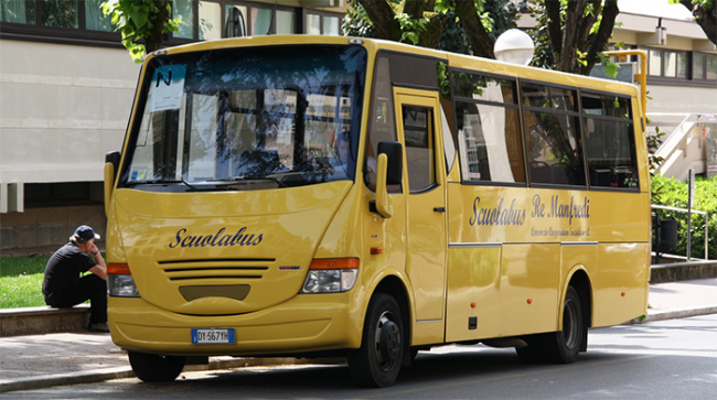 scuolabus albero seduto