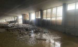 sempione galleria Engi00000 copia