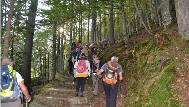 sentiero macugnaga bosco salita gruppo