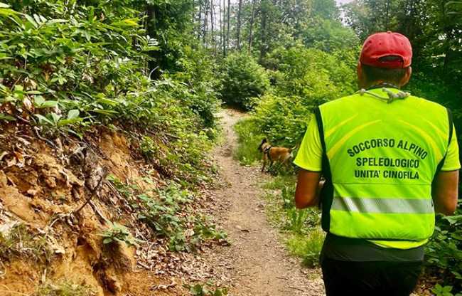 soccorso cane bosco sentiero giorno cane