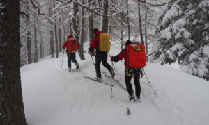 soccorso neve uomini sci fondo bosco ricerca