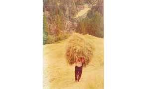 spallone foto vecchia fieno