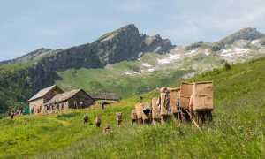 spalloni foto MoroniWalter