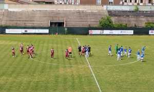 sparta novara juve domo