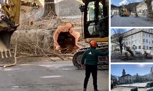 taglio alberi via rosmini