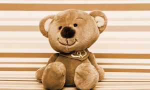 teddy bear 3652051 640