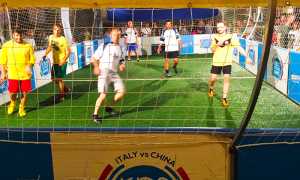 tiger cup academia domo