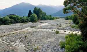 toce alveo images articles vco ossola thumb medium650 0