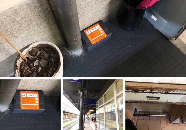 trappole topi stazione