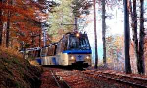 treno foliage orcesco dsc 4956 gaspare