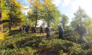 trotapian 33 Gita 4O24 Malchkritzji