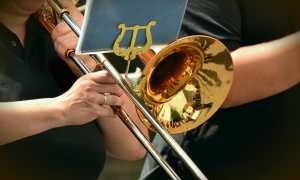 trumpet g493aa5e9e 640