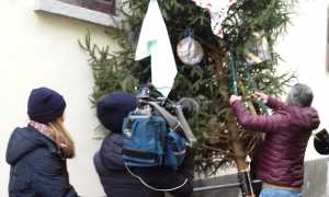 tv francese candelora 19