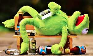 ubriaco ranocchio panchina