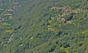 valgrande colloro