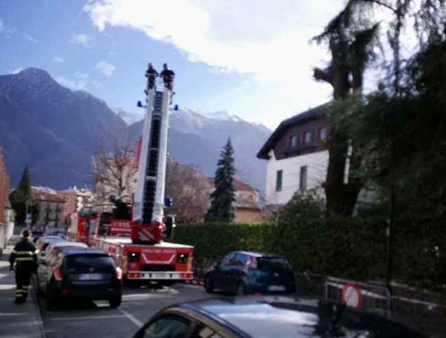 vigili feu albero braggio