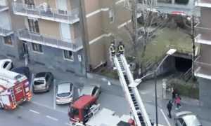 vigili fuoco gatto scale