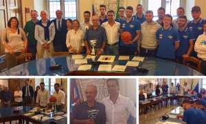 vinavil cipir basket comune mix 18