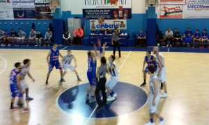 vinavil cipir borgomanero palla due