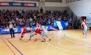 vinavil cipir difesa marzo