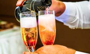 vino floute brindisi