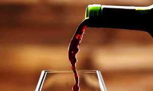 vino