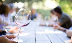 wineglass 553467 640