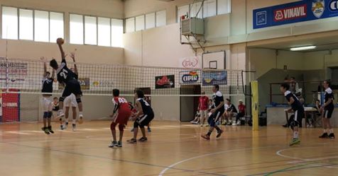 55794345 554826771705170 4604597003106648064 n