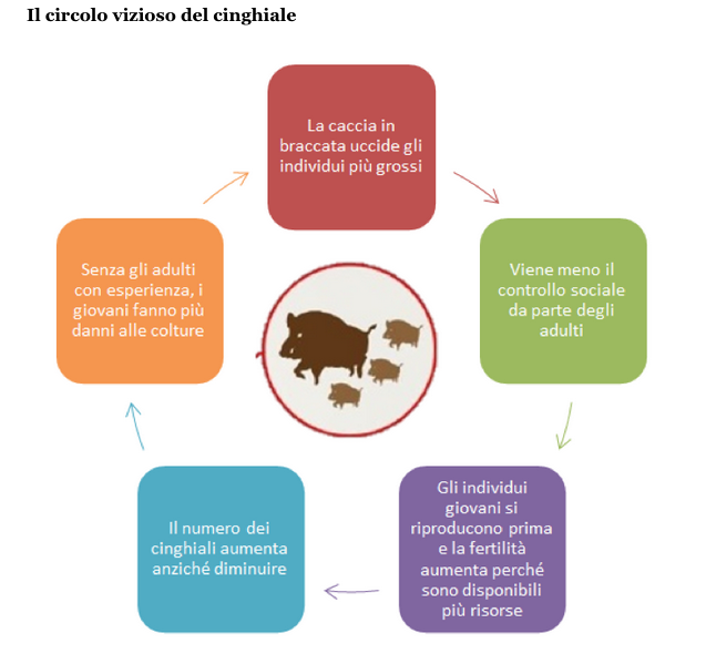 Schermata 2019 11 07 alle 16.58.22