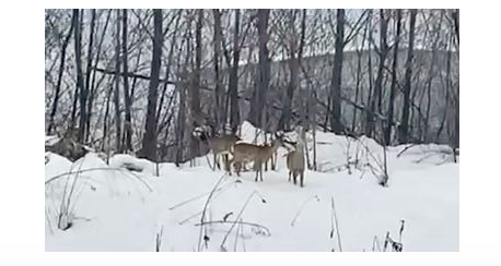 Schermata 2020 12 08 alle 17.15.20