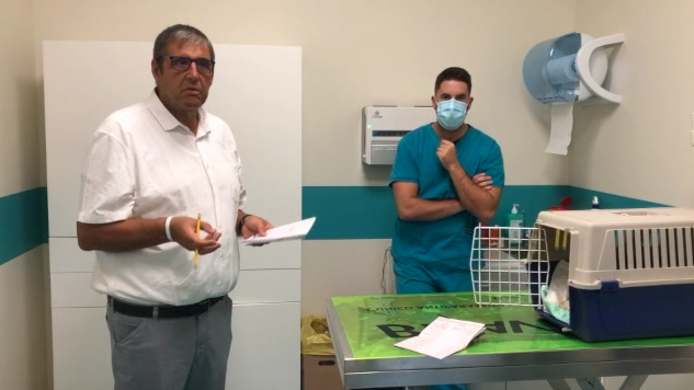 Schermata 2020 10 05 alle 17.17.48