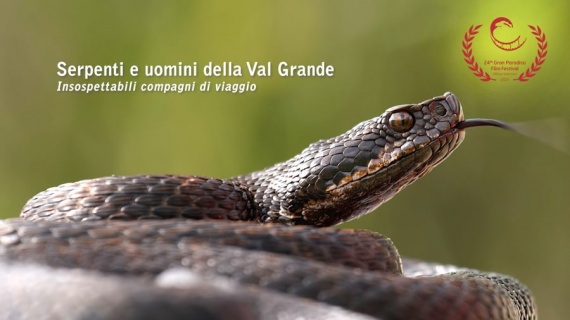 serpenti e uomini della Val Grande