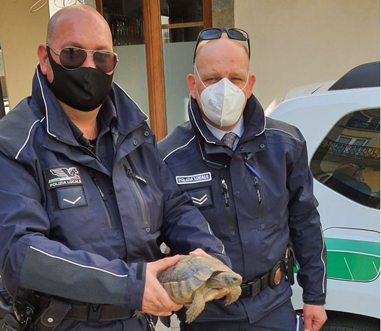 Schermata 2021 03 29 alle 17.22.14