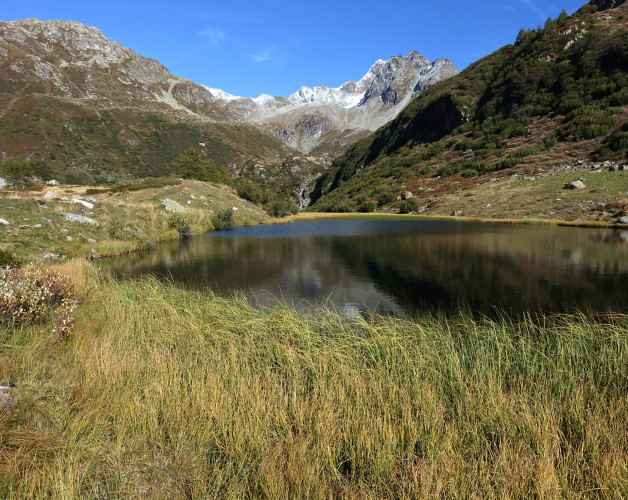 a8a713b388f4c9a3a464d502ddd831a2